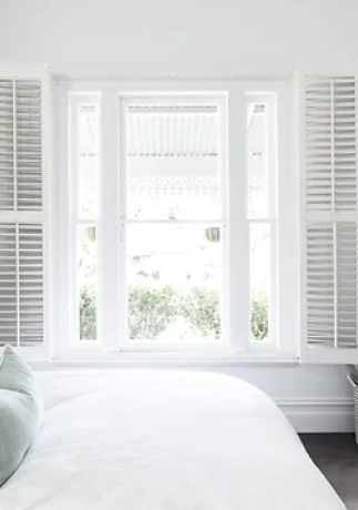 Roller and Screen Shades